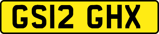 GS12GHX
