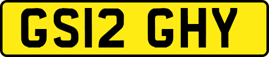 GS12GHY
