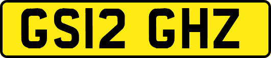 GS12GHZ