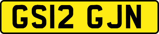 GS12GJN