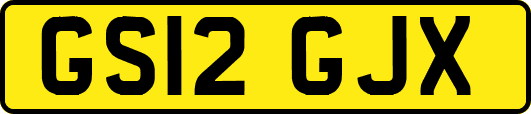 GS12GJX