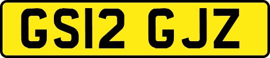 GS12GJZ