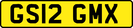 GS12GMX