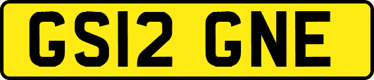GS12GNE