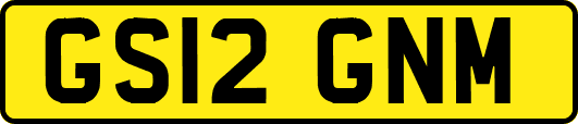 GS12GNM