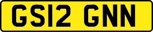 GS12GNN
