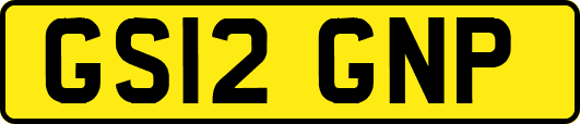 GS12GNP
