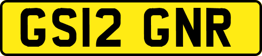 GS12GNR