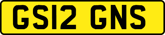 GS12GNS