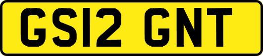 GS12GNT