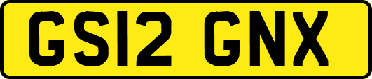 GS12GNX
