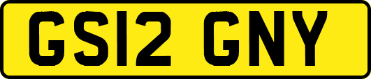 GS12GNY