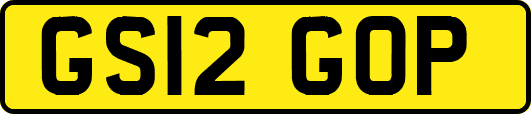 GS12GOP
