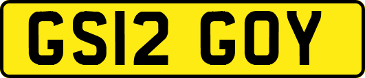 GS12GOY
