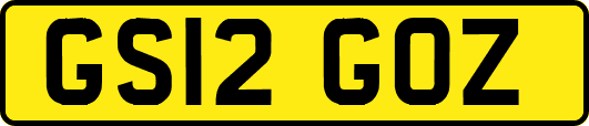 GS12GOZ