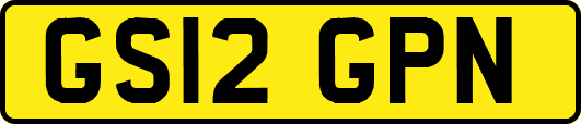GS12GPN