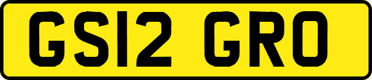 GS12GRO