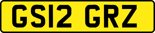 GS12GRZ
