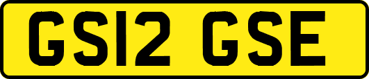 GS12GSE