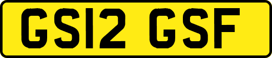 GS12GSF