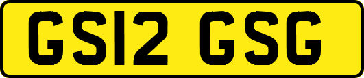 GS12GSG