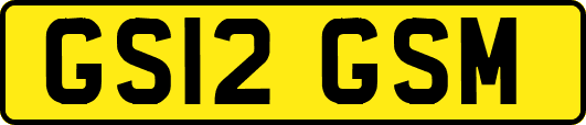 GS12GSM