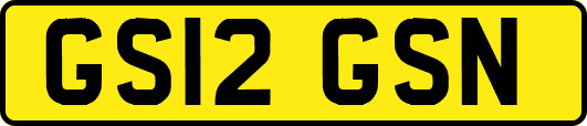 GS12GSN