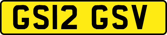 GS12GSV