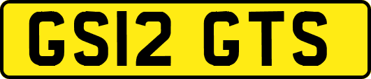 GS12GTS