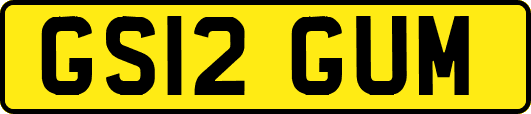 GS12GUM