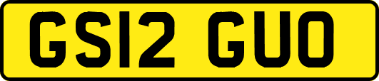 GS12GUO