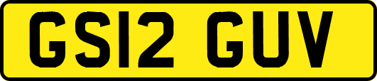 GS12GUV