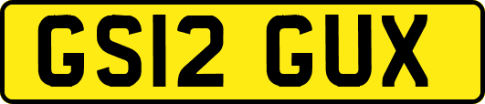 GS12GUX