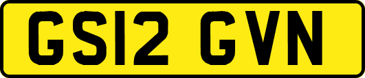 GS12GVN