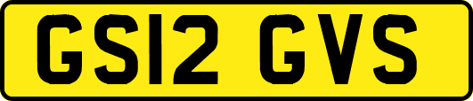 GS12GVS