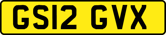 GS12GVX
