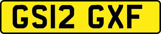 GS12GXF