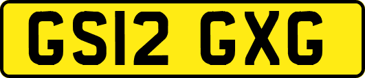 GS12GXG