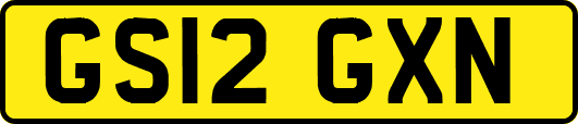 GS12GXN