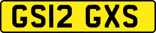 GS12GXS