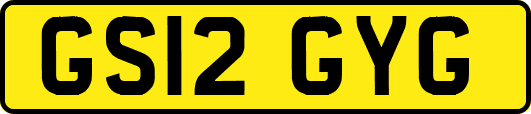 GS12GYG