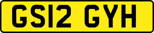 GS12GYH