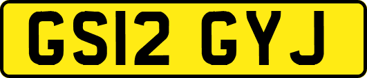 GS12GYJ