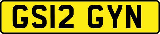 GS12GYN