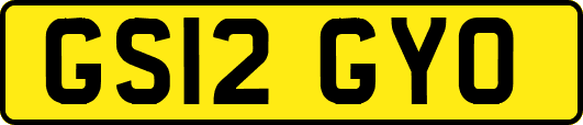 GS12GYO