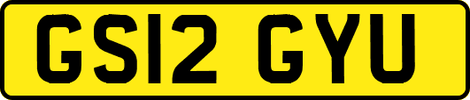 GS12GYU