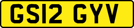 GS12GYV