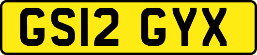GS12GYX