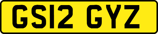 GS12GYZ