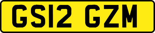 GS12GZM